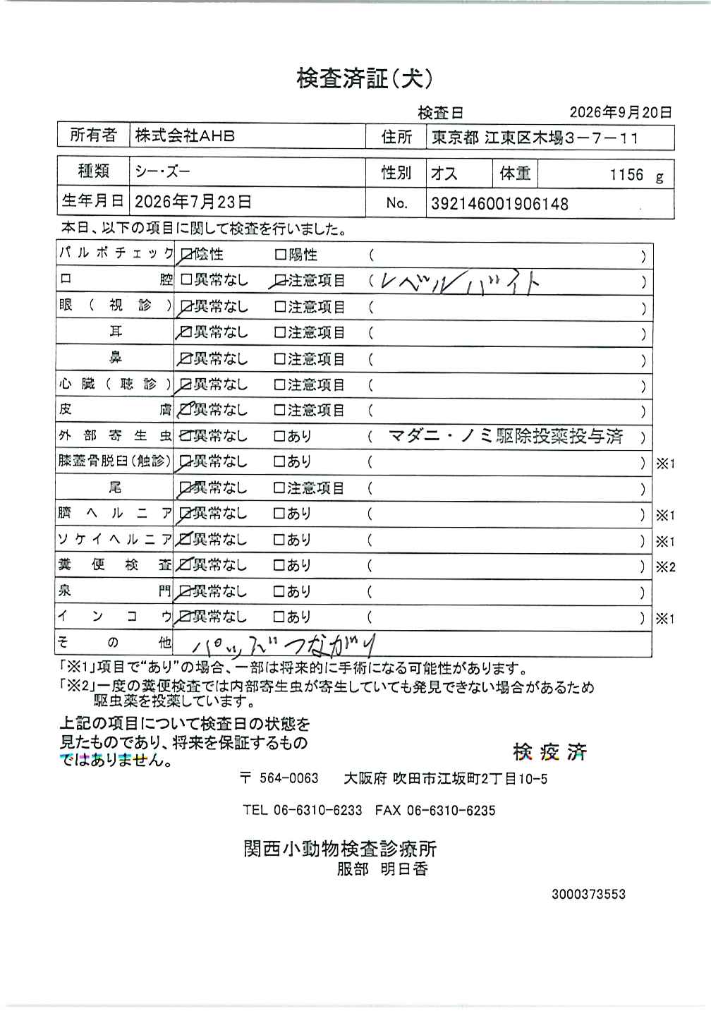 シー・ズー