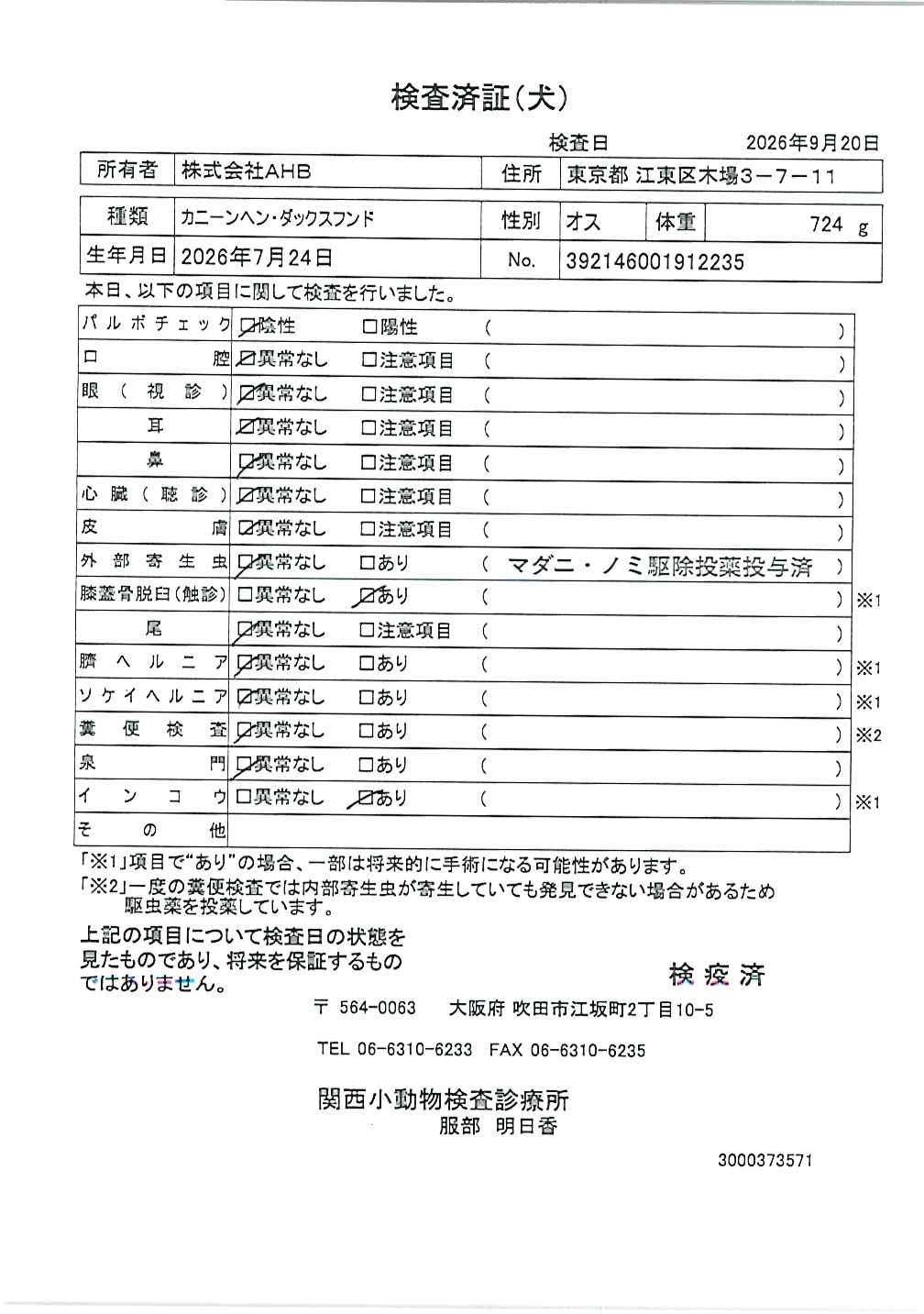 カニーンヘン・ダックスフンド
