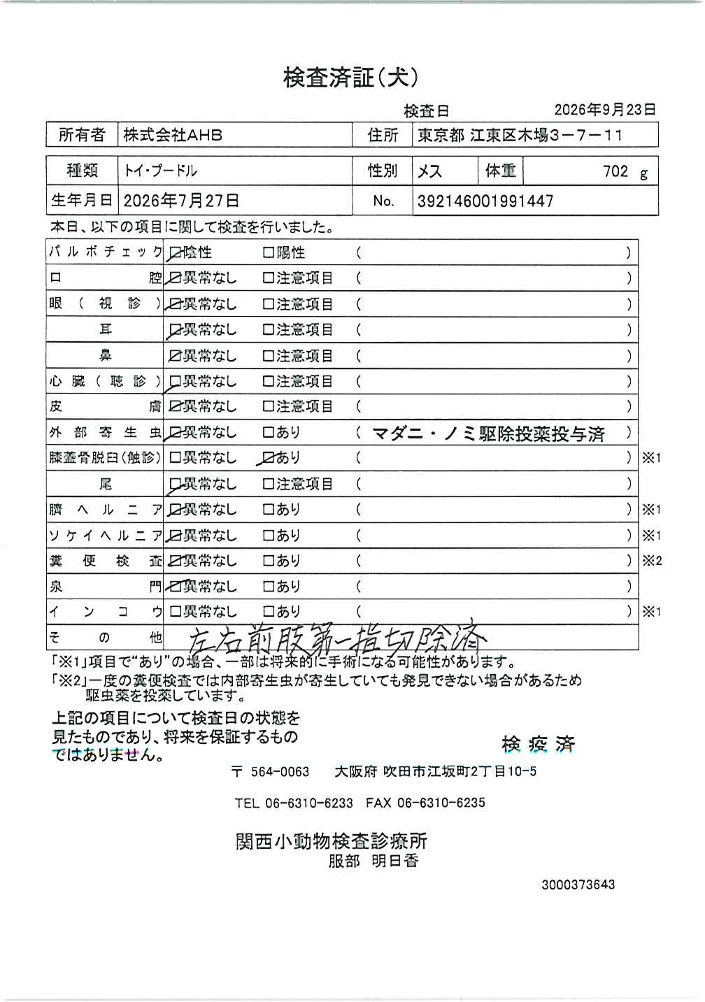 トイ・プードル