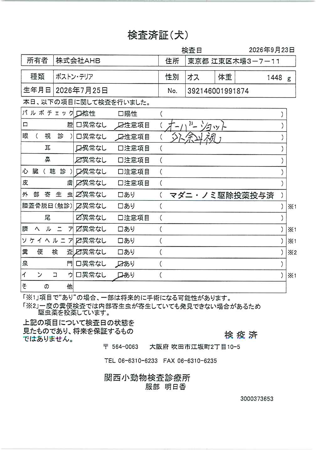ボストン・テリア
