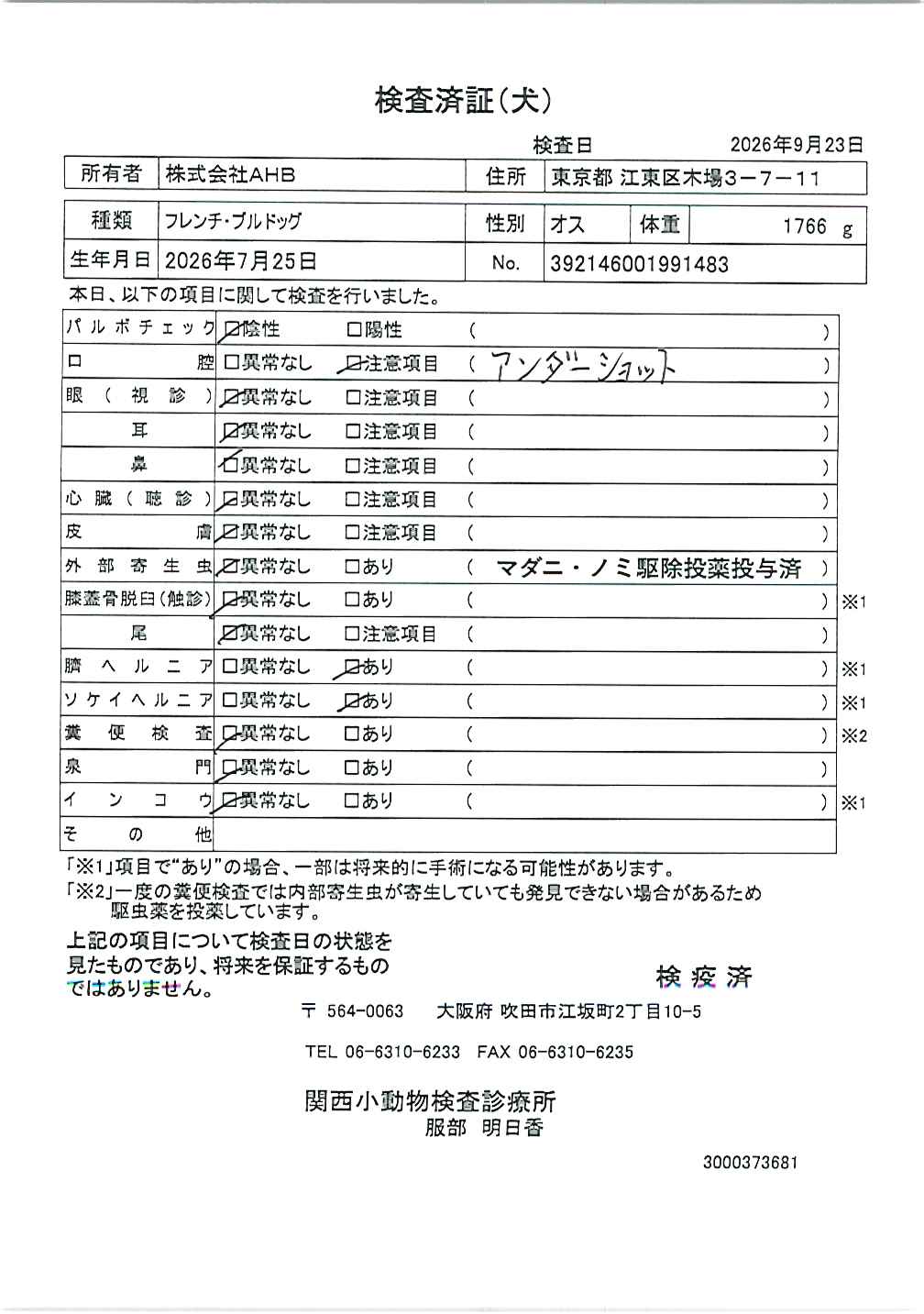 フレンチ・ブルドッグ