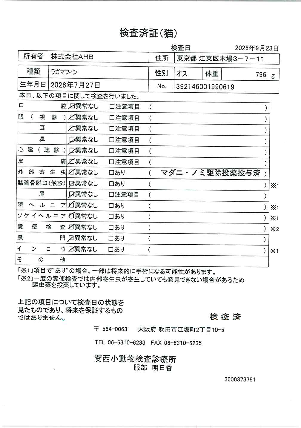 ラガマフィン