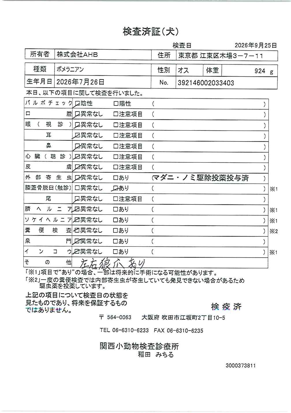 ポメラニアン