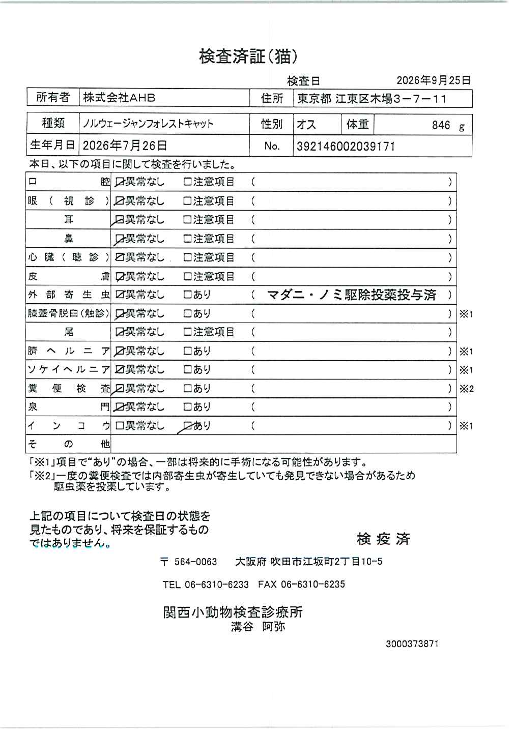 ノルウェージャンフォレストキャット