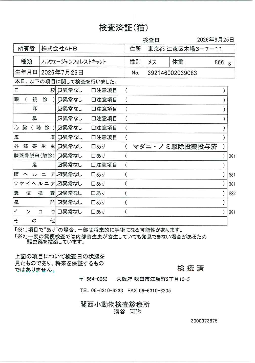 ノルウェージャンフォレストキャット