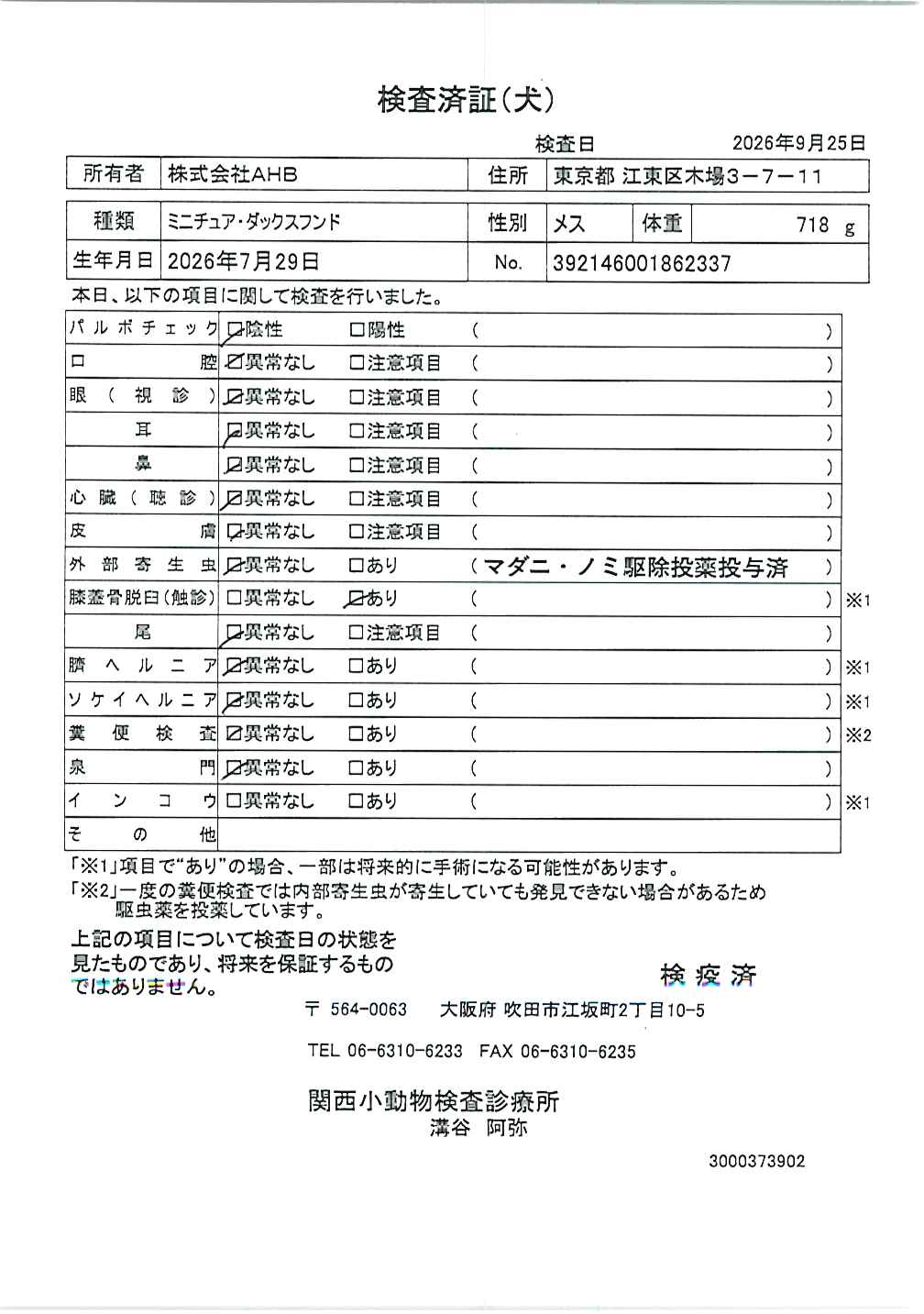 ミニチュア・ダックスフンド
