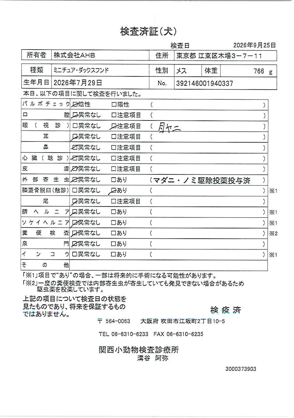 ミニチュア・ダックスフンド