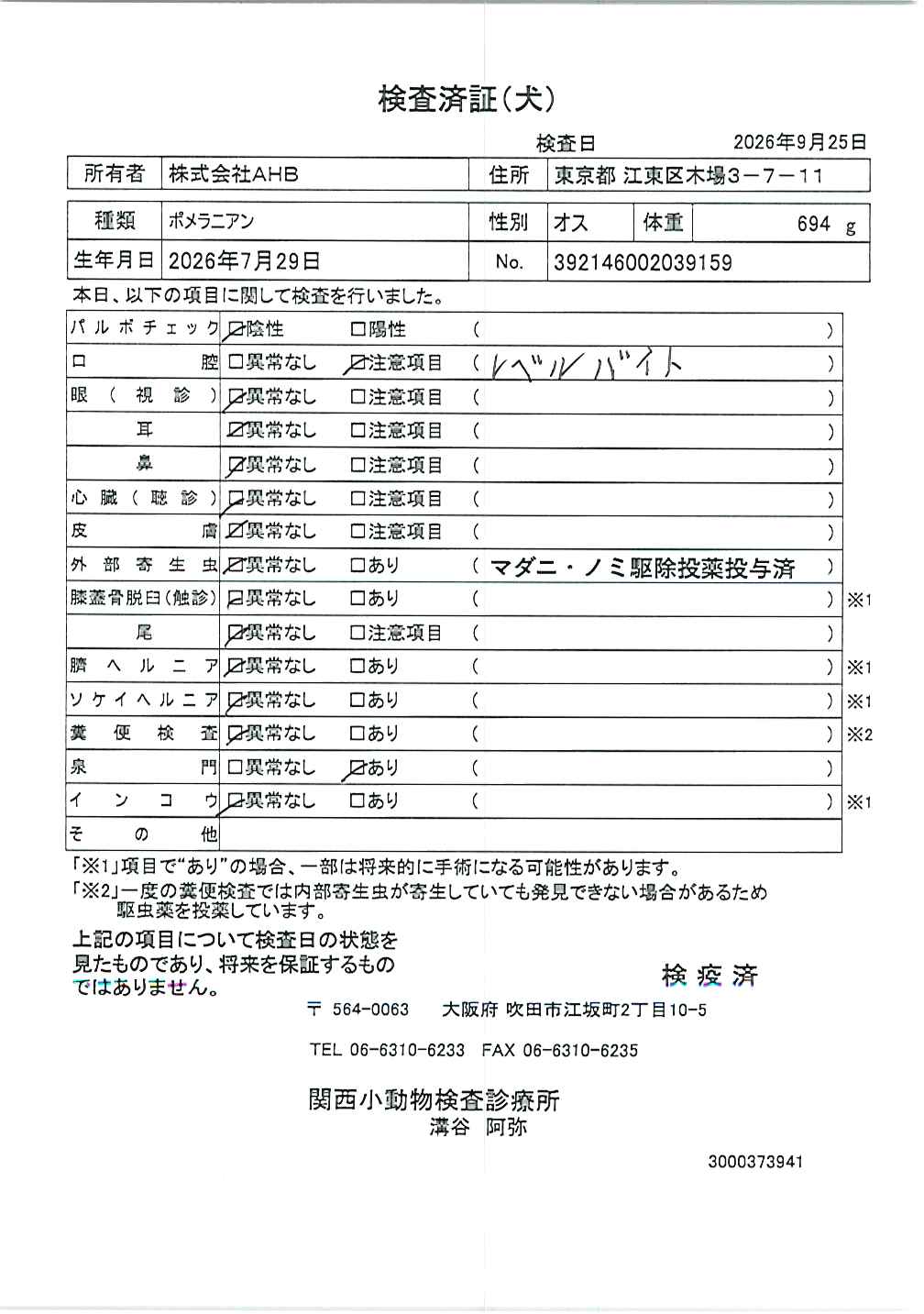 ポメラニアン
