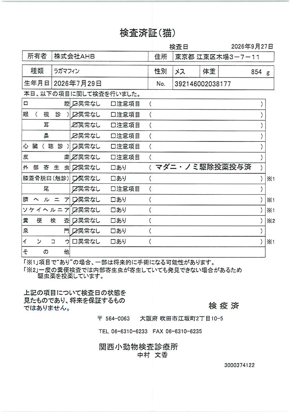 ラガマフィン