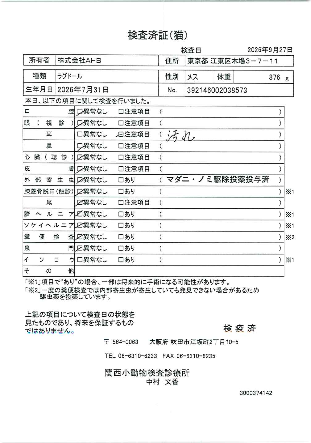 ラグドール