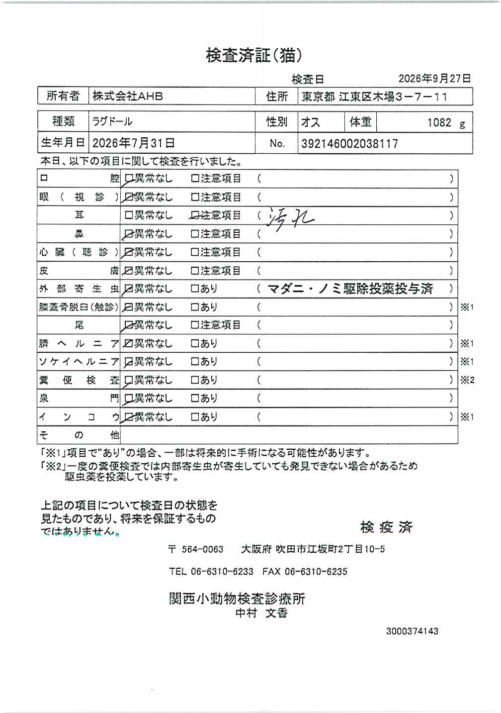 ラグドール