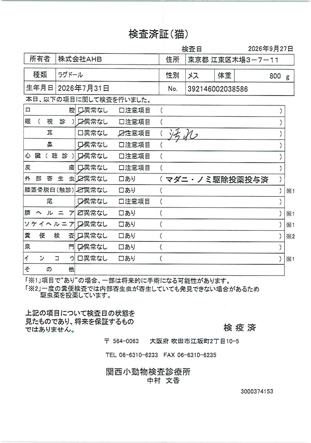 ラグドール