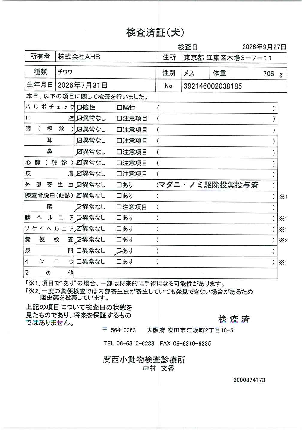 チワワ