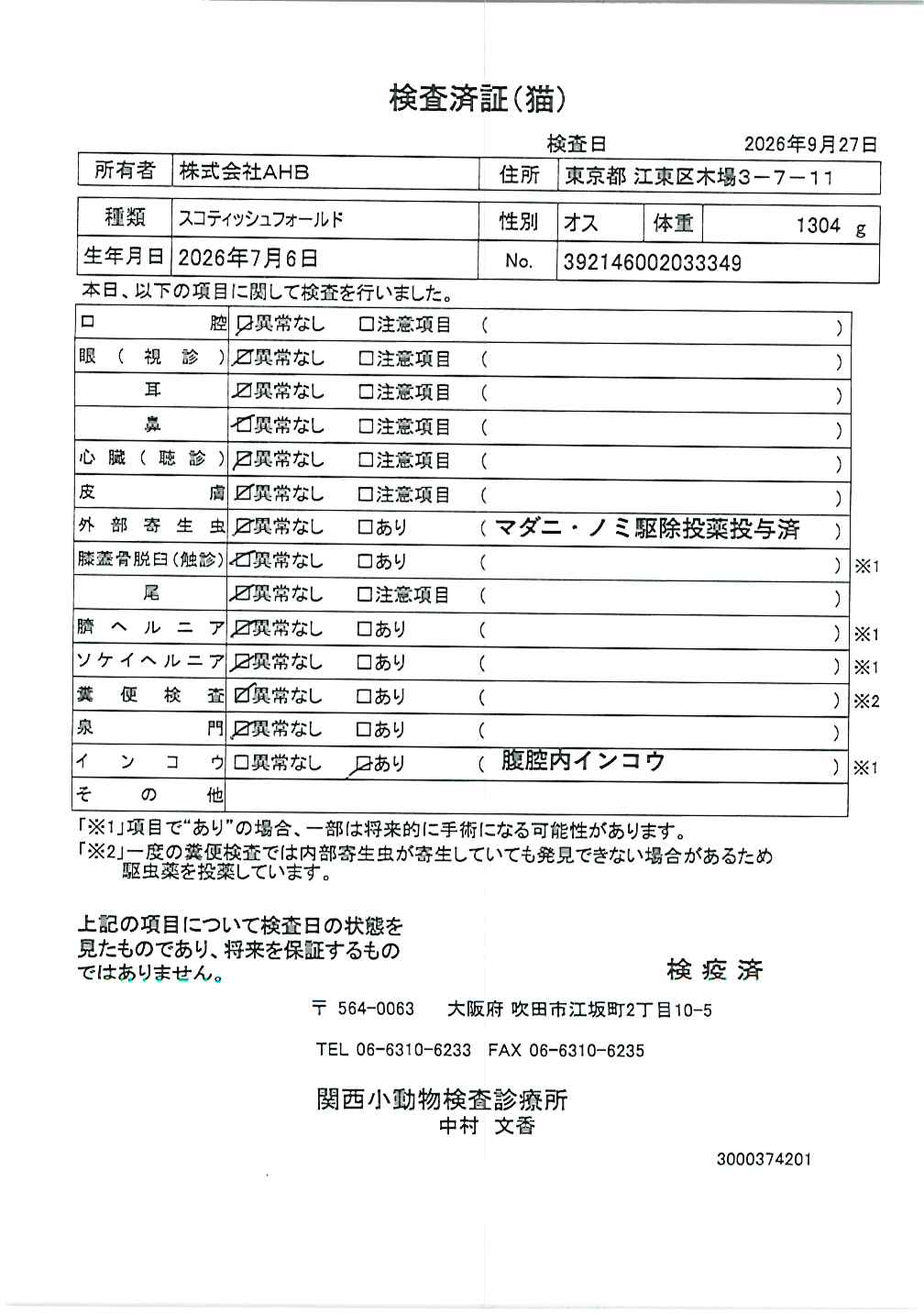 スコティッシュフォールド