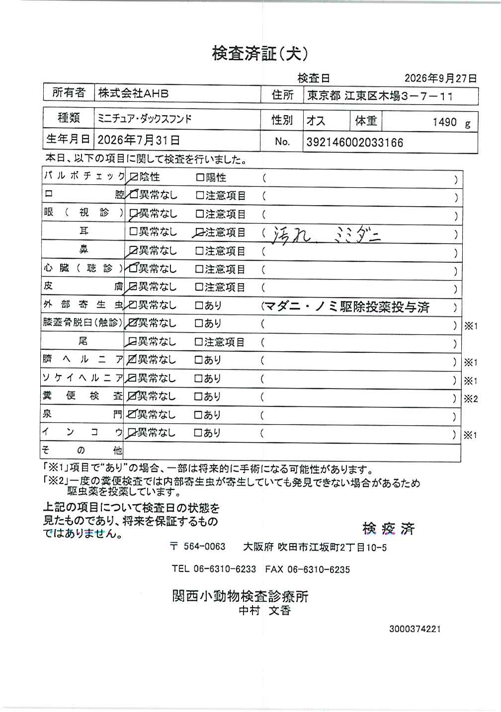 ミニチュア・ダックスフンド