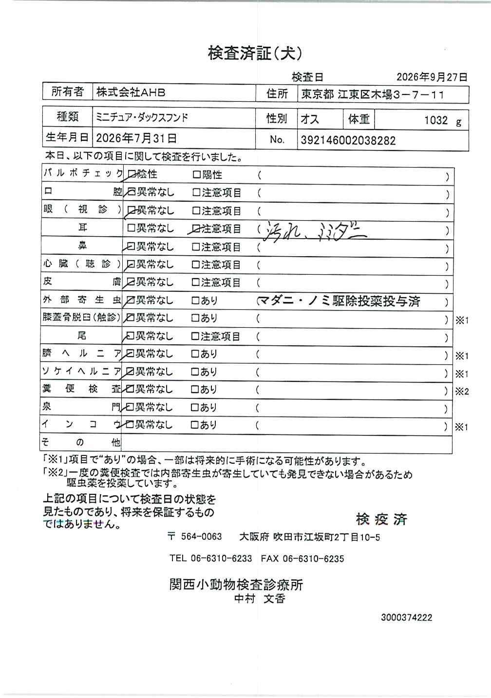 ミニチュア・ダックスフンド