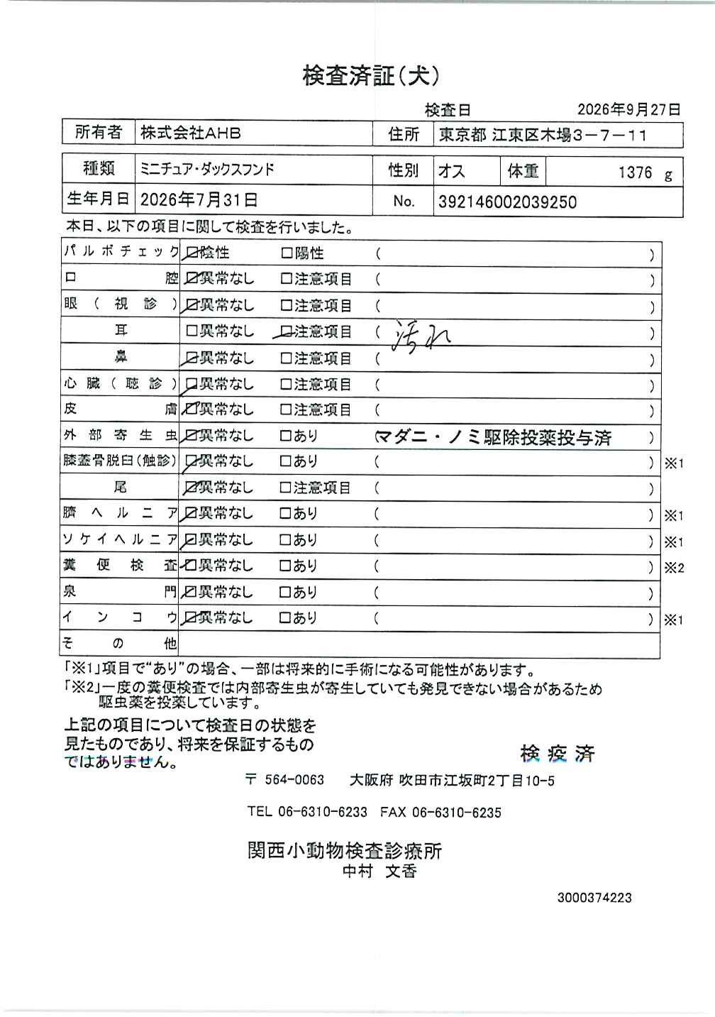 ミニチュア・ダックスフンド