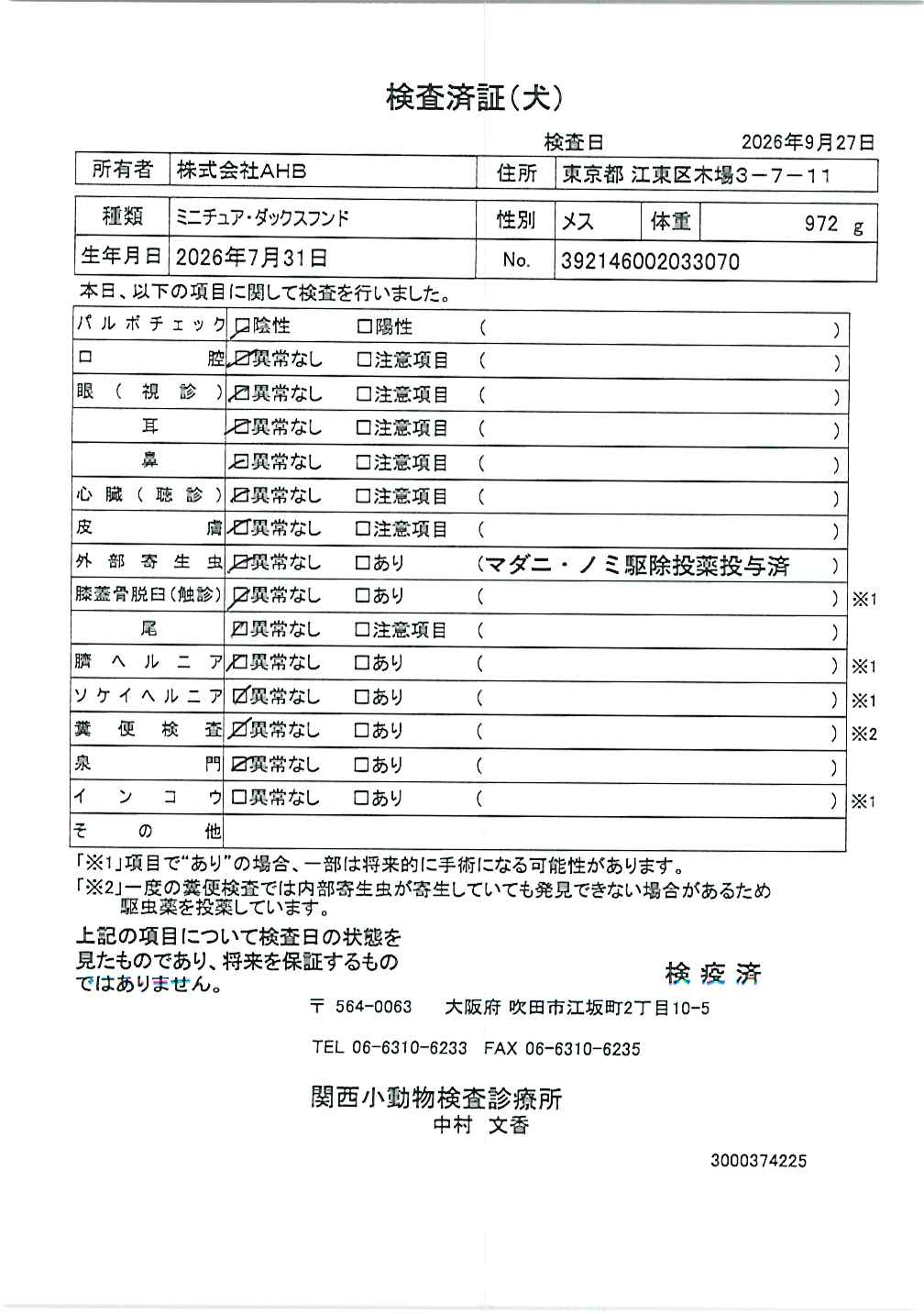 ミニチュア・ダックスフンド