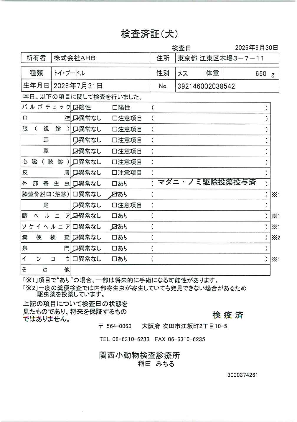 トイ・プードル