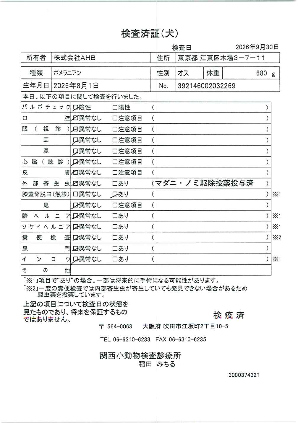 ポメラニアン