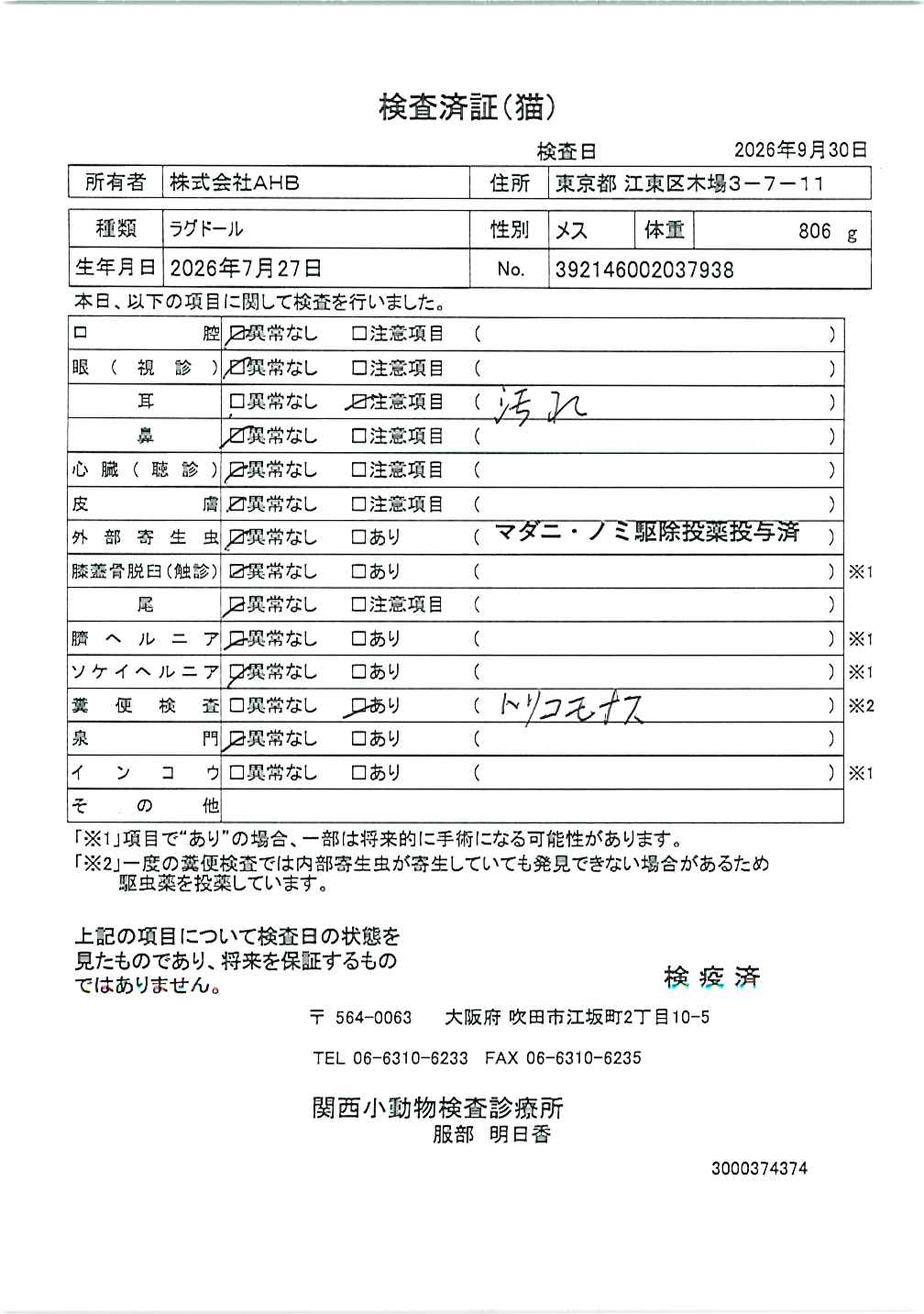 ラグドール