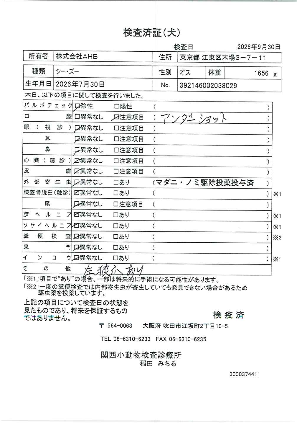 シー・ズー