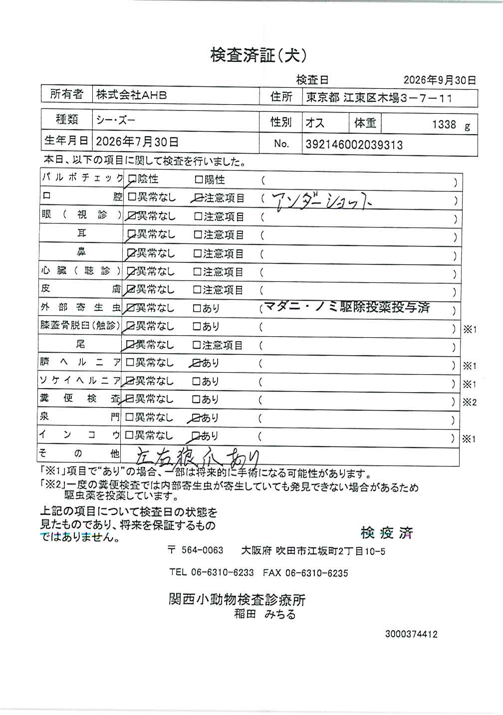 シー・ズー