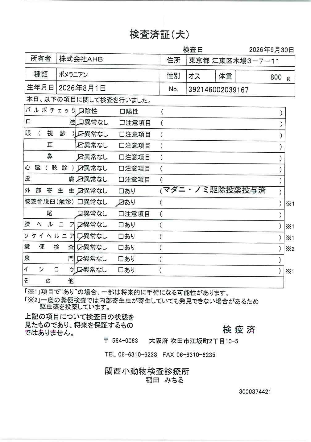 ポメラニアン