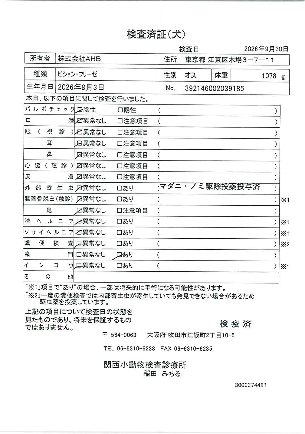 ビション・フリーゼ