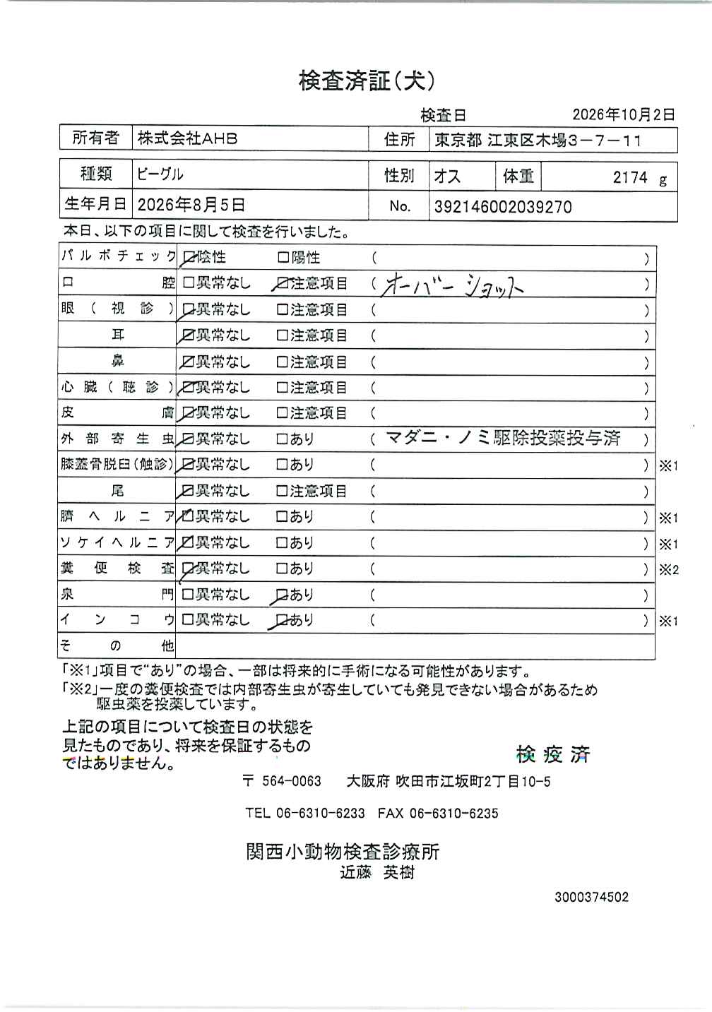 ビーグル