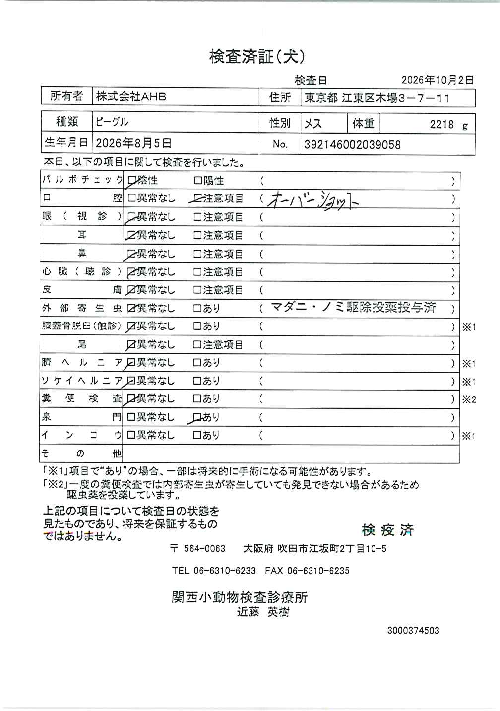 ビーグル