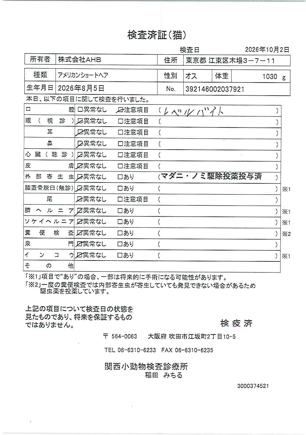 アメリカンショートヘア