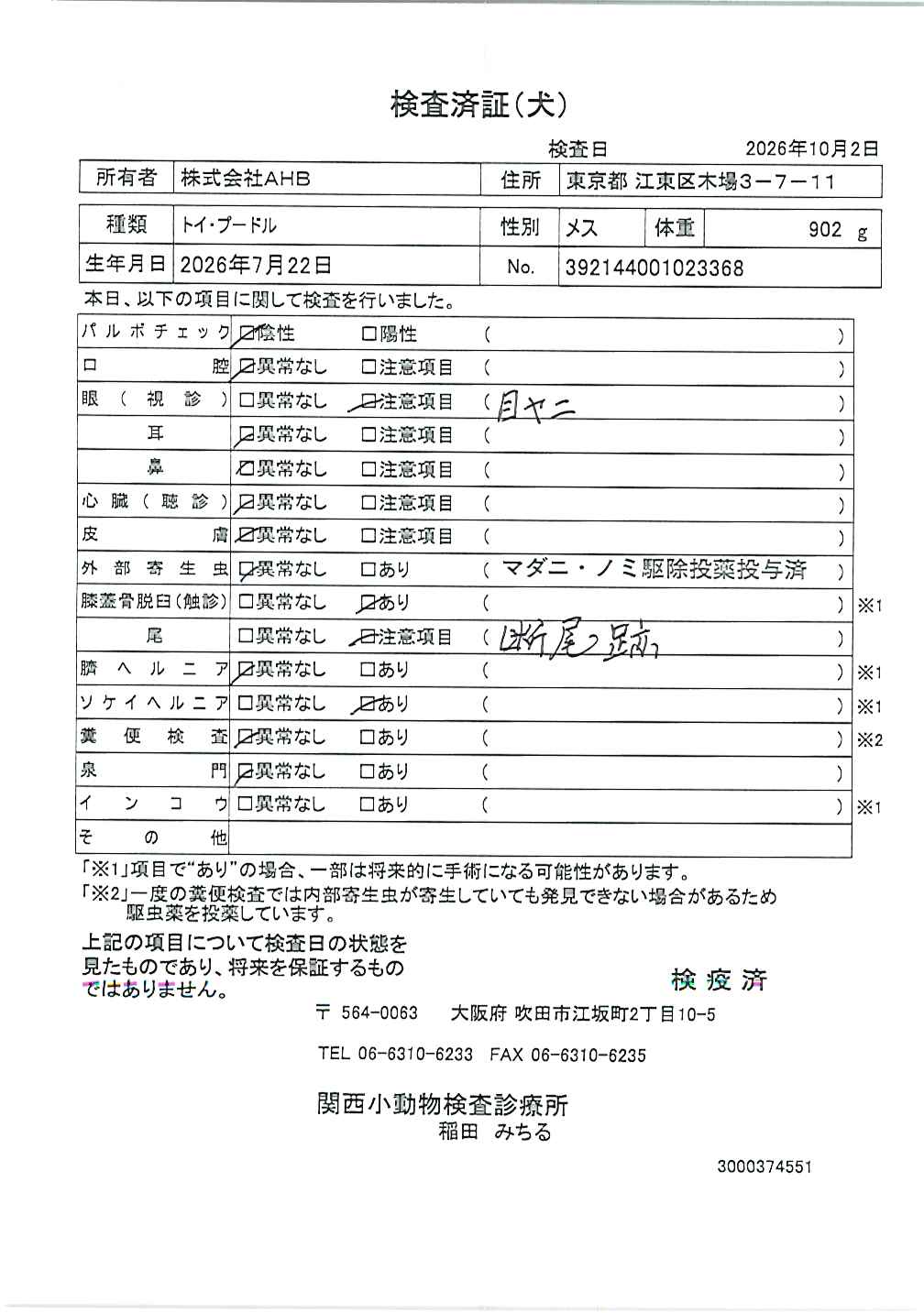 トイ・プードル