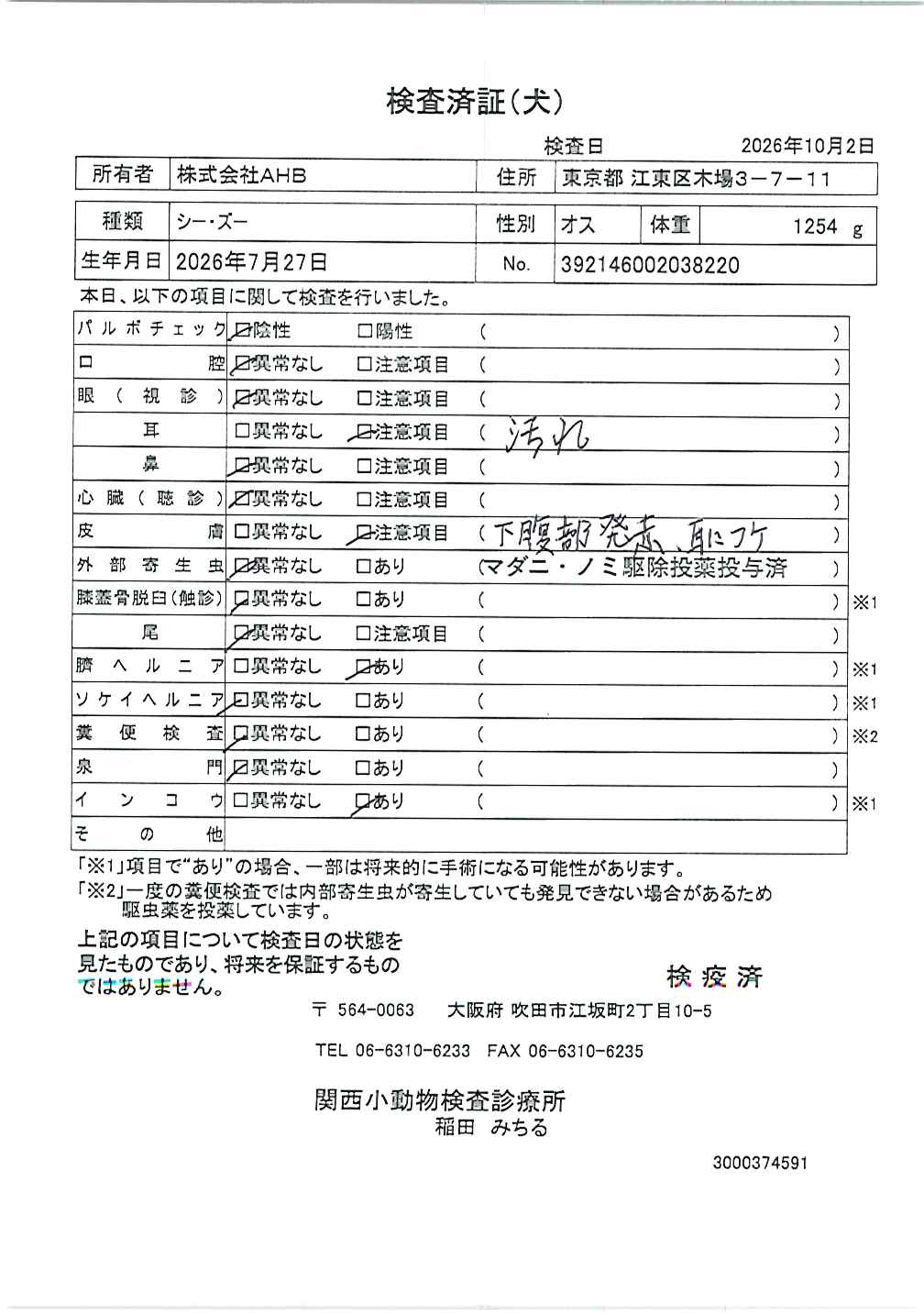 シー・ズー