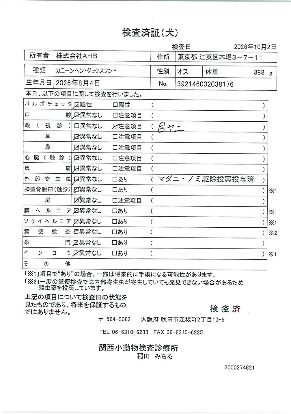 カニーンヘン・ダックスフンド