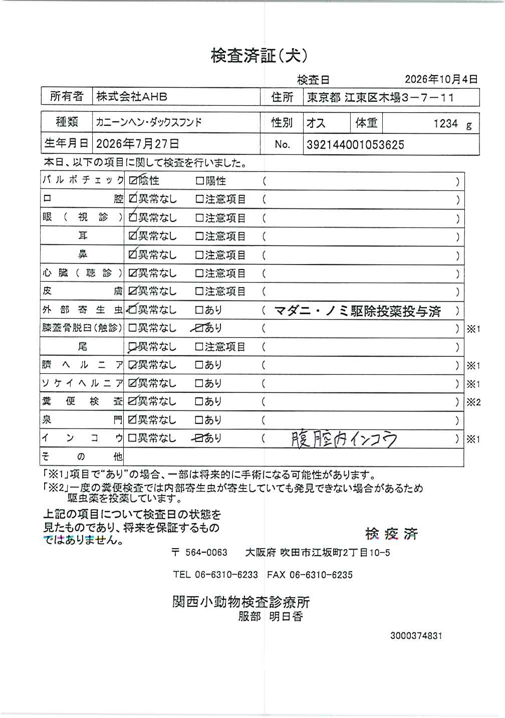 カニーンヘン・ダックスフンド
