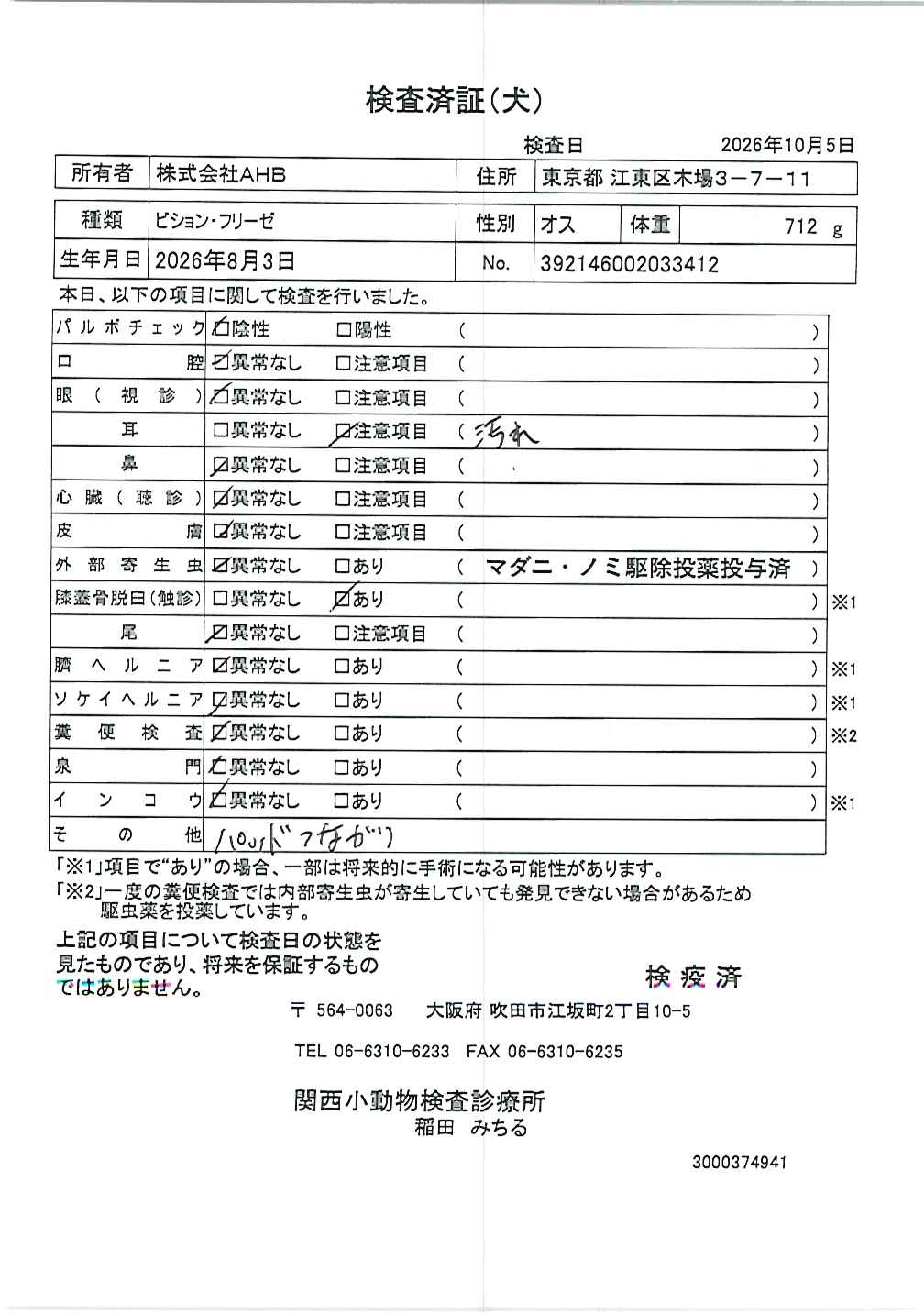 ビション・フリーゼ