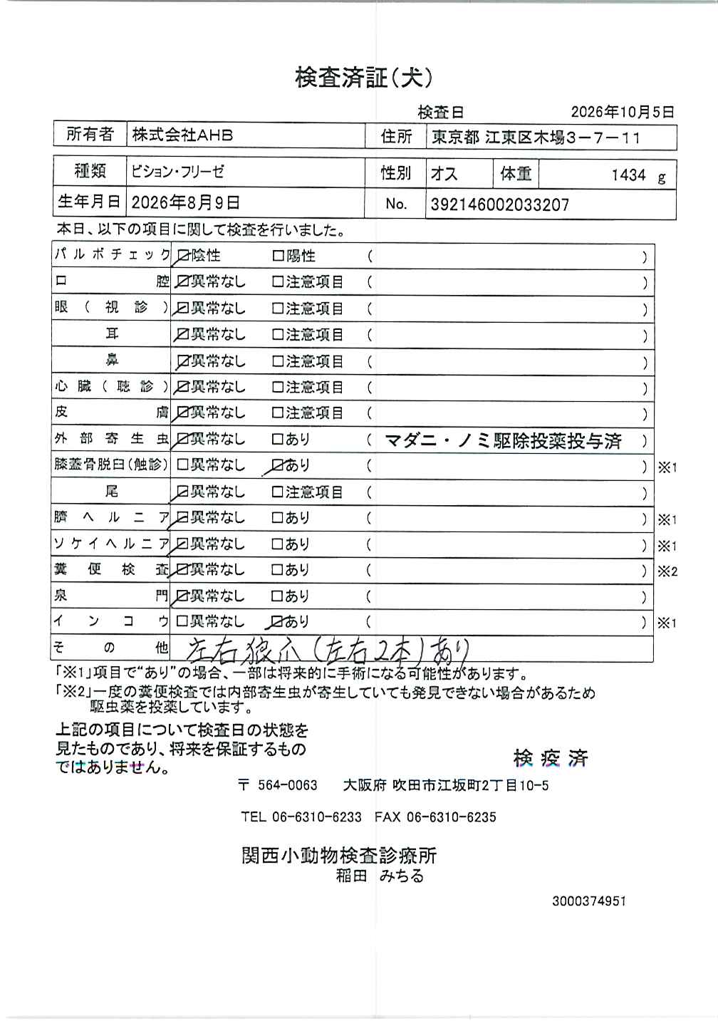 ビション・フリーゼ