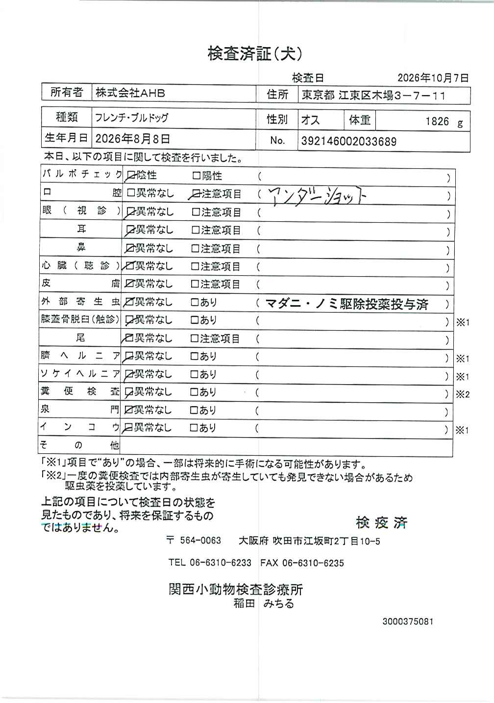 フレンチ・ブルドッグ