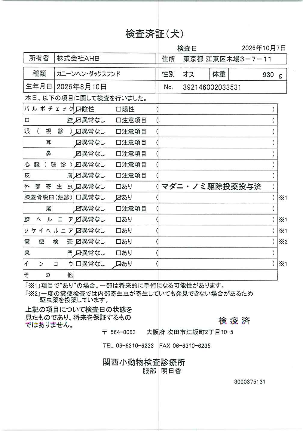 カニーンヘン・ダックスフンド