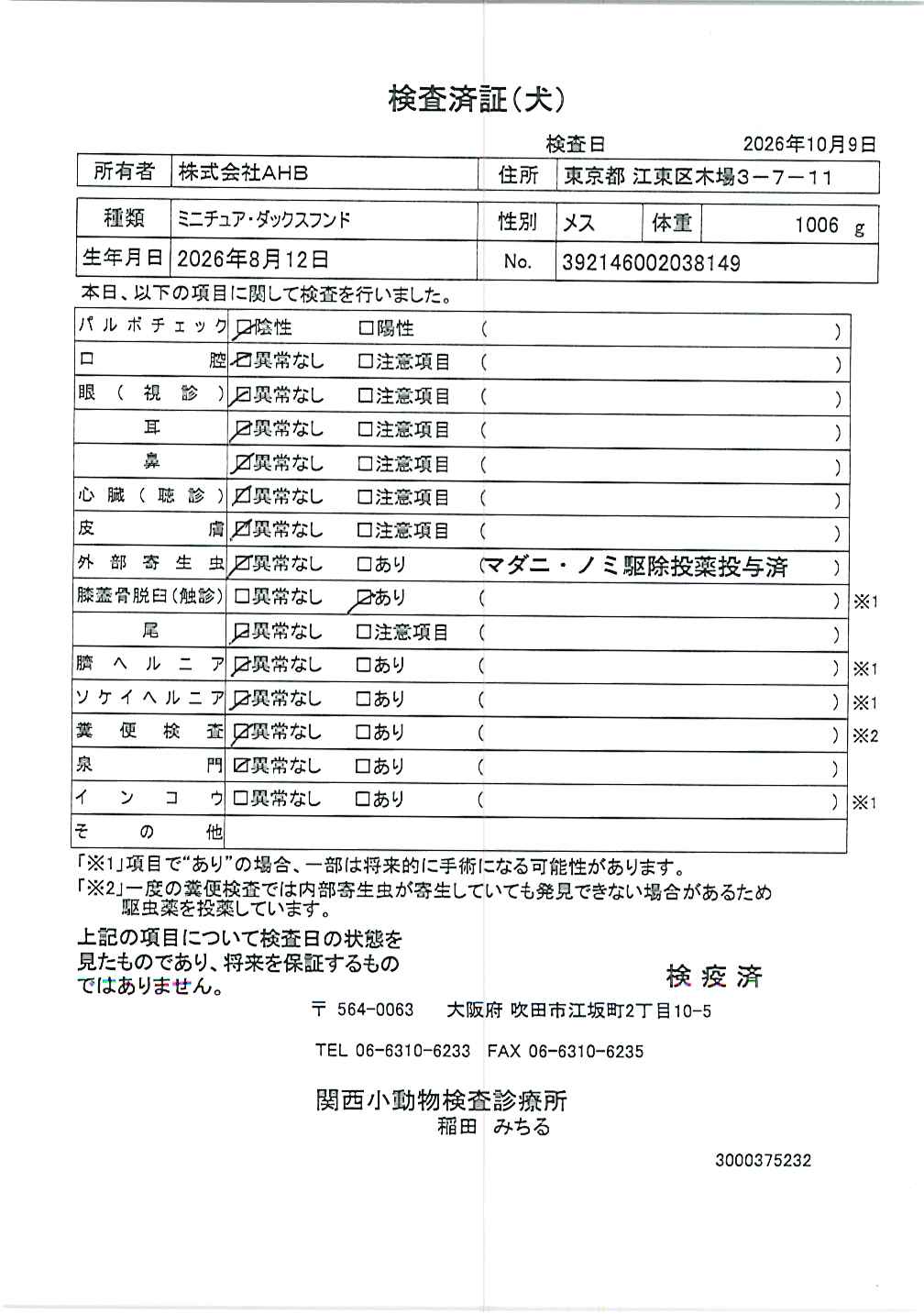 ミニチュア・ダックスフンド