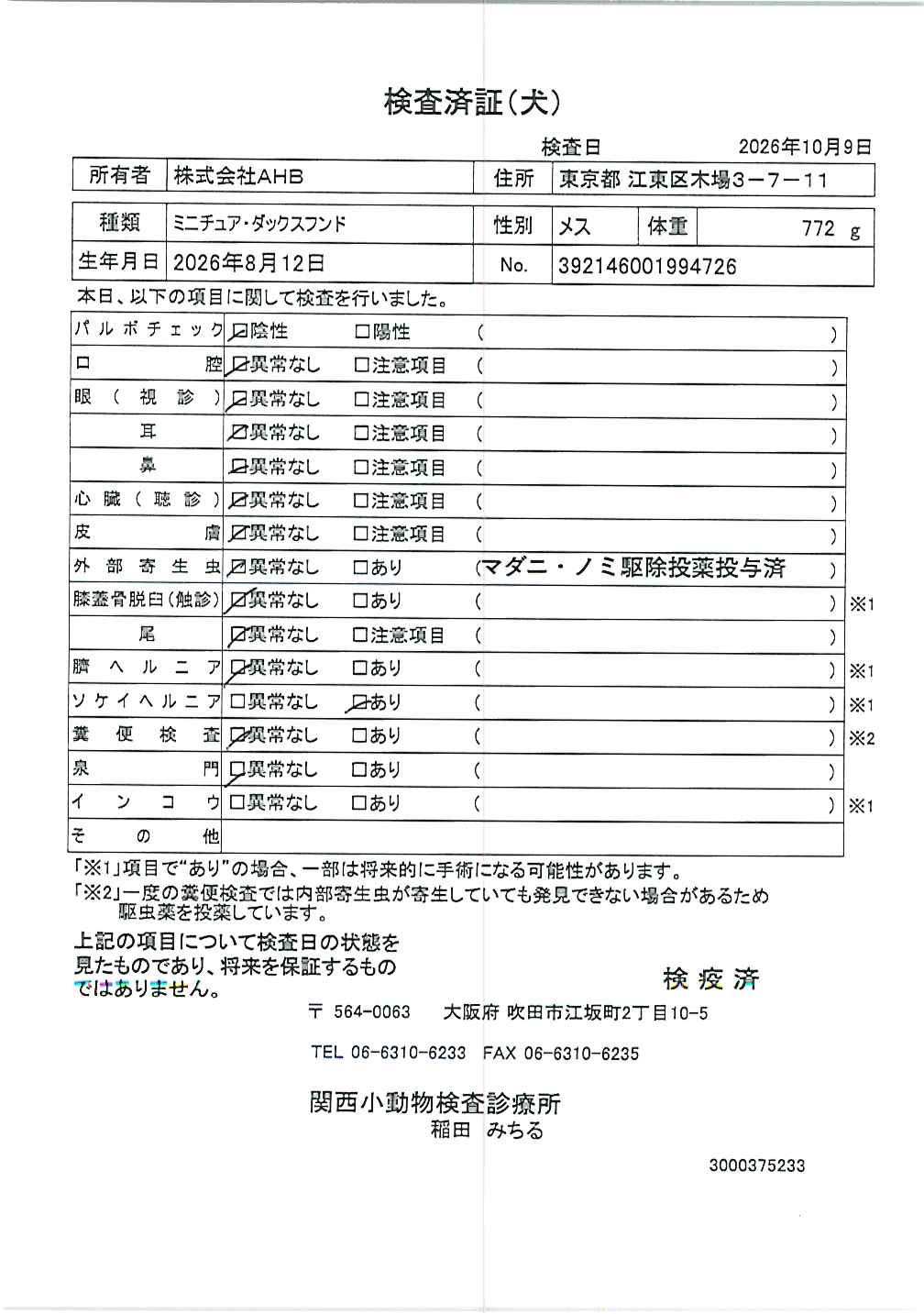 ミニチュア・ダックスフンド
