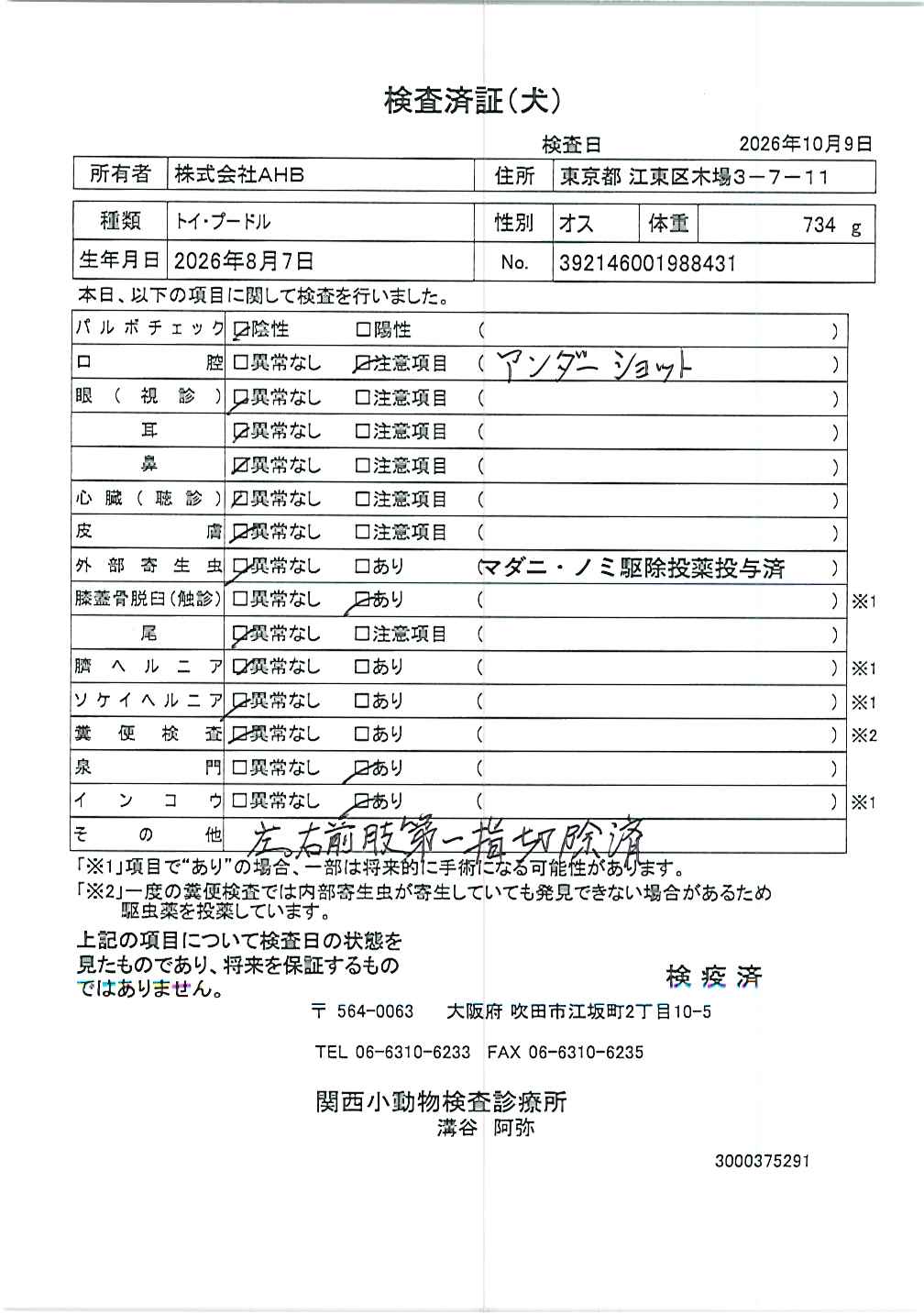 トイ・プードル