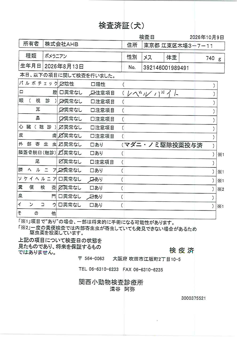 ポメラニアン