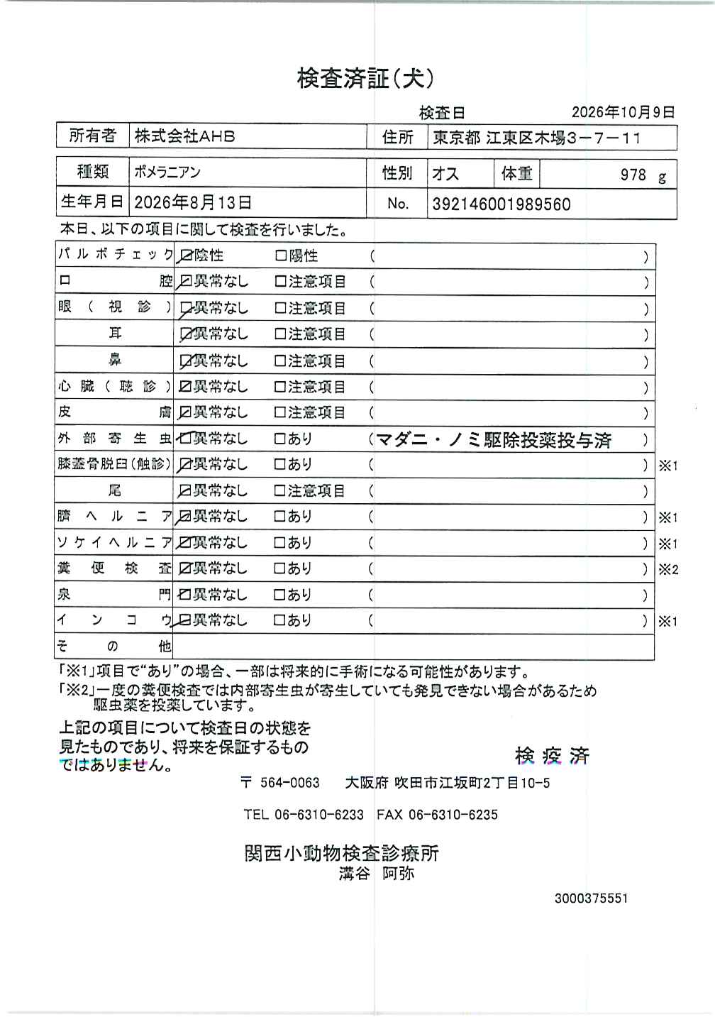 ポメラニアン