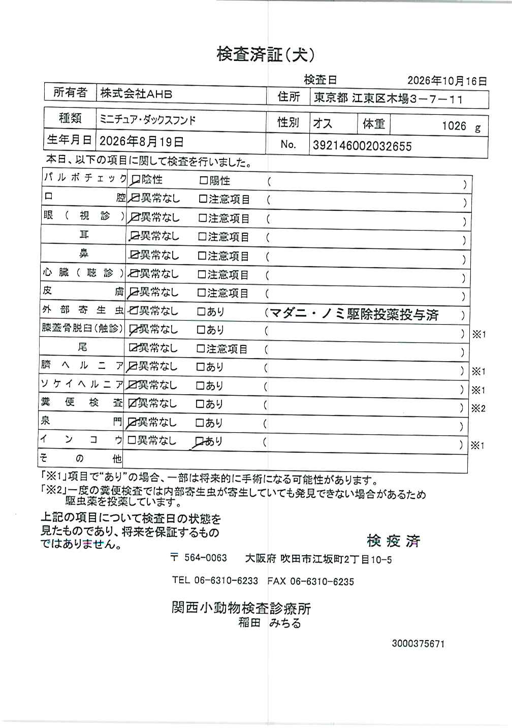 ミニチュア・ダックスフンド