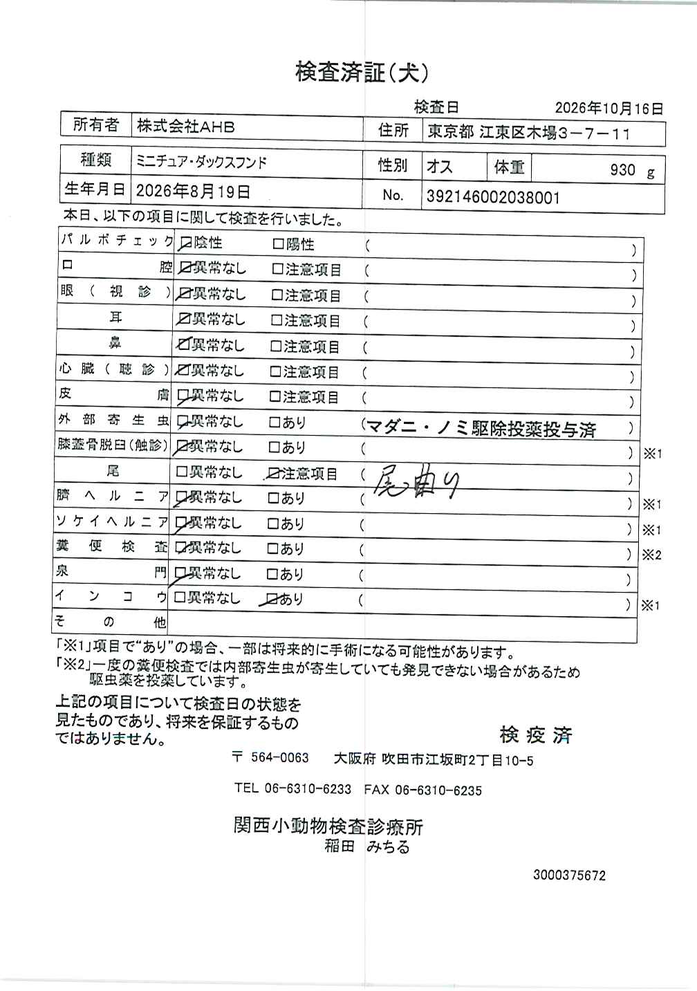 ミニチュア・ダックスフンド
