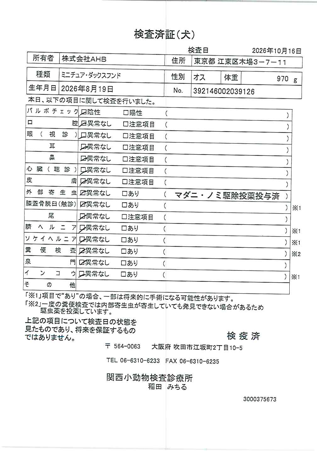 ミニチュア・ダックスフンド
