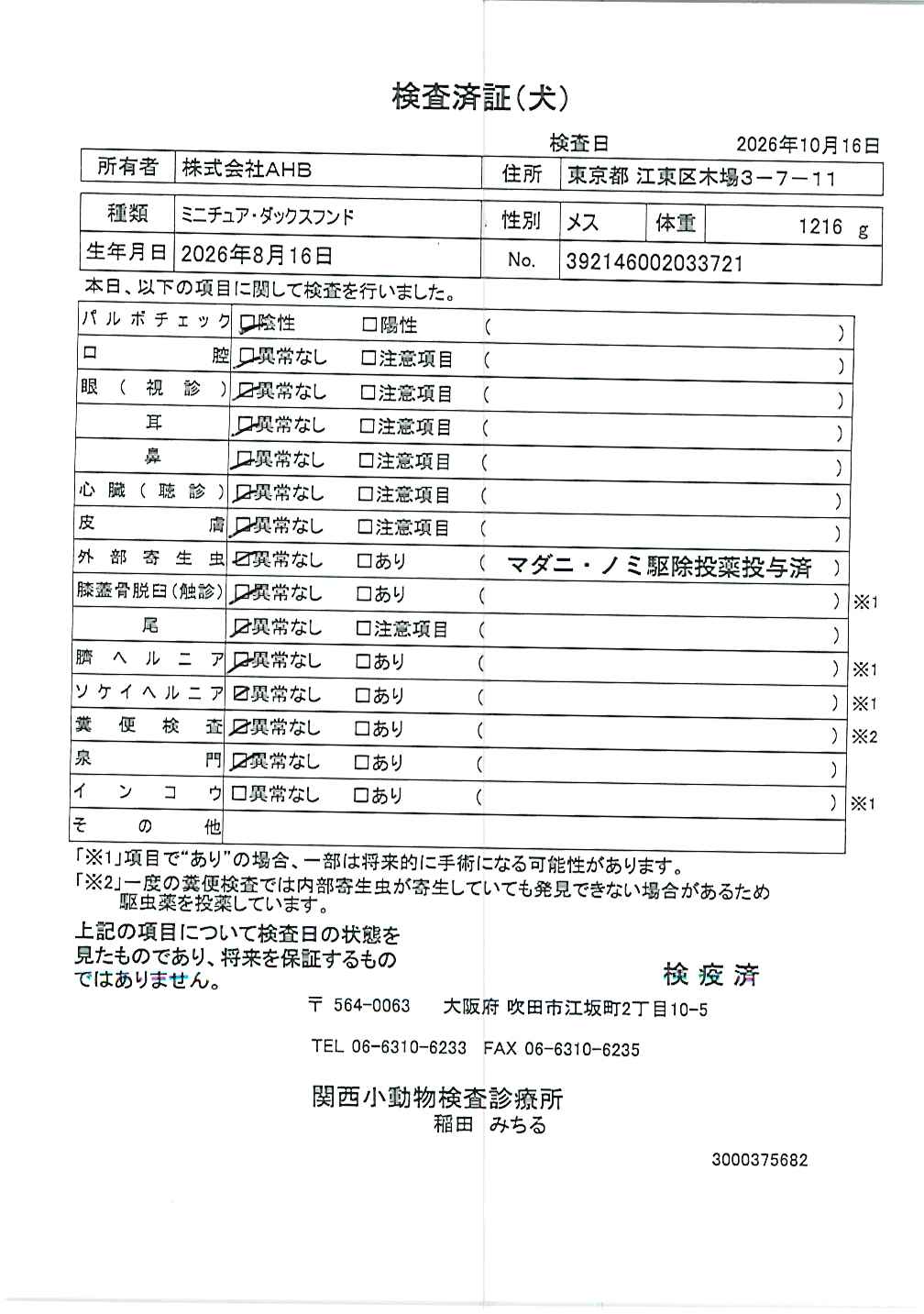 ミニチュア・ダックスフンド