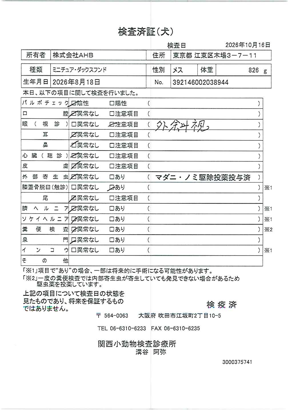 ミニチュア・ダックスフンド